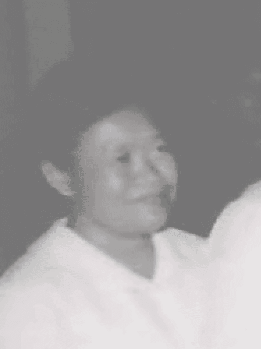 https://backend.eccc.gov.kh/uploads/yun_yat_detail_dbf910f2c3.png